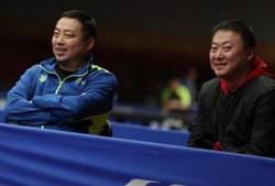 谁爆料刘国梁视频,揭秘乒乓球界背后的真相