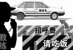 娱乐吃瓜酱驾校,揭秘驾校那些事儿