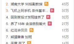 新闻爆料原创的音乐叫什么,新闻爆料背后的原创音乐杰作