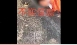 青岛真实事件爆料视频播放,惊心动魄的真相揭露