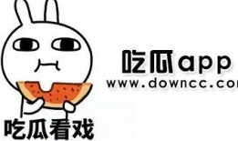 各种网红吃瓜黑料图,揭秘网络红人的真实一面