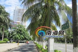 南海爆料新闻