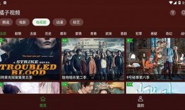 知名八卦爆料视频播放大全,知名八卦爆料视频大盘点