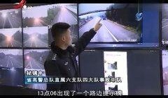 都市视频在线观看,体验在线观看的便捷时光