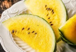 各种网红黑料吃瓜网站11run,11run网站独家爆料大汇总