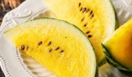 各种网红黑料吃瓜网站11run,11run网站独家爆料大汇总