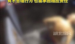 物业视频爆料,小区安全隐患频发，居民生活堪忧