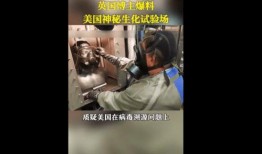 美国爆料病毒视频网站,真相与阴谋的交织