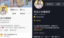 快手网红吃瓜视频网址,带你领略网络红人的真实生活