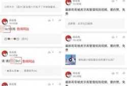 视频爆料规则最新版,揭秘合规发布与风险规避要点