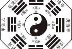 中山八卦爆料最新消息,揭秘神秘事件背后真相