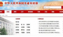 仙桥村今日新闻爆料,揭秘古村落焕新背后的故事