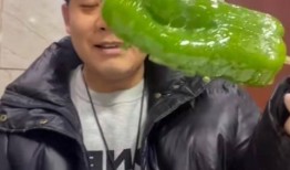 广西夫妻网红吃瓜事件,真相揭秘引网友热议
