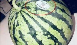 吃瓜网红最近怎么样了,生活点滴与粉丝互动