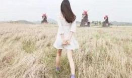 娱乐大爆料背影照片女生,揭秘娱乐大爆料中的神秘美女