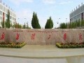 新疆科技学院爆料事件最新,真相与反思并行
