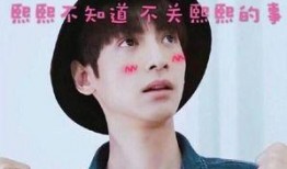 罗云熙狗子爆料视频,揭秘明星私生活幕后真相