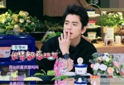 圈内爆料王大陆,揭秘娱乐圈的爆料王大陆