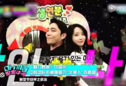 韩娱节目爆料大全视频播放,揭秘热门韩星幕后故事