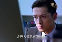 猎场在线观看啪啪,在线激情，揭秘职场情场双面人生