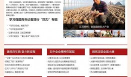 仙桥村今日新闻爆料,揭秘古村落焕新背后的故事