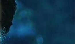 保姆驯服在线观看,揭秘现代家庭育儿秘籍