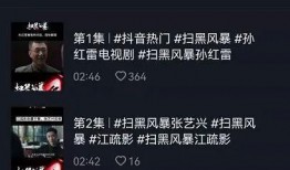 抖音爆料黑瓜视频在线观看,黑瓜视频在线观看，带你领略短视频魅力