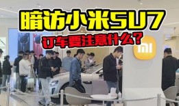 宁津探店爆料视频最新,最新探店爆料视频深度解析