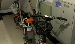 南京电动车事件最新爆料,真相再起波澜，疑云重重待解