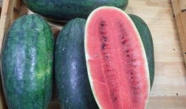 各种网红黑料吃瓜网站11run,11run网站独家爆料大汇总