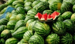 吃瓜网红最近怎么样了,生活点滴与粉丝互动