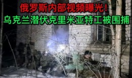 最近俄国爆料视频播放,俄国最新爆料视频引发全球关注