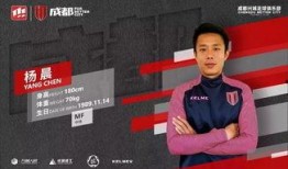 杨晨爆料王老师视频,真相与争议并存