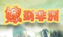 嫁到非洲全集在线观看