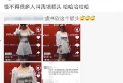 爆料娱乐圈的书