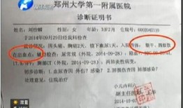 中国国安局最新爆料信息,深度解析我国网络安全与反间谍斗争”