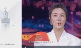 央视爆料薇娅视频,揭秘网红经济背后的真相