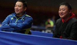 谁爆料刘国梁视频,揭秘乒乓球界背后的真相