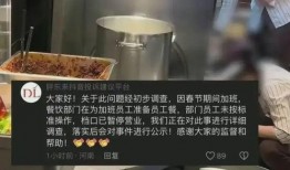 各大餐厅爆料视频大全集,揭秘美食背后的秘密与故事