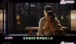 韩剧自由在线观看,揭秘韩剧背后的网络世界