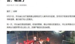 大良街坊爆料案件最新情况,案情明朗化，警方全力侦破